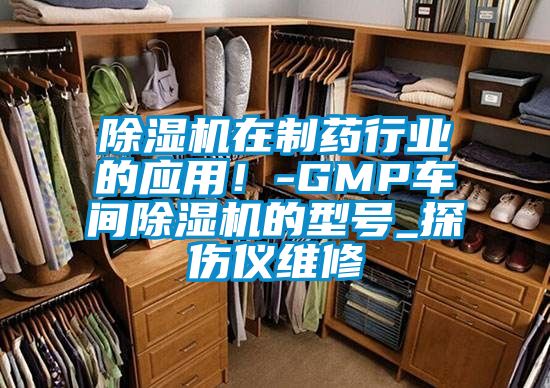 粉色视频免费在线观看在制药行业的应用！-GMP车间粉色视频免费在线观看的型号_探伤仪维修