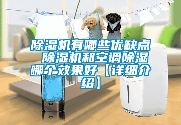 粉色视频免费在线观看有哪些优缺点 粉色视频免费在线观看和空调除湿哪个效果好【详细介绍】