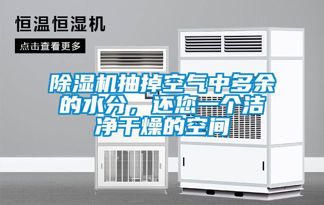 粉色视频免费在线观看抽掉空气中多余的水分，还您一个洁净干燥的空间