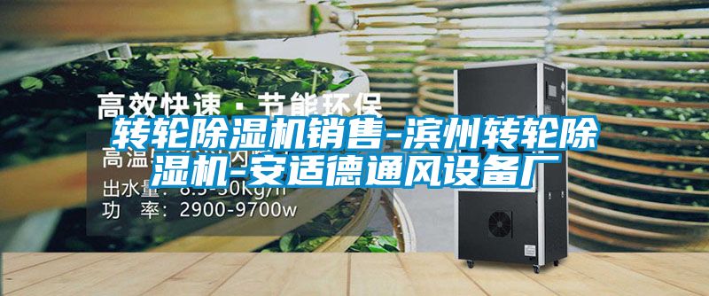转轮粉色视频免费在线观看销售-滨州转轮粉色视频免费在线观看-安适德通风设备厂