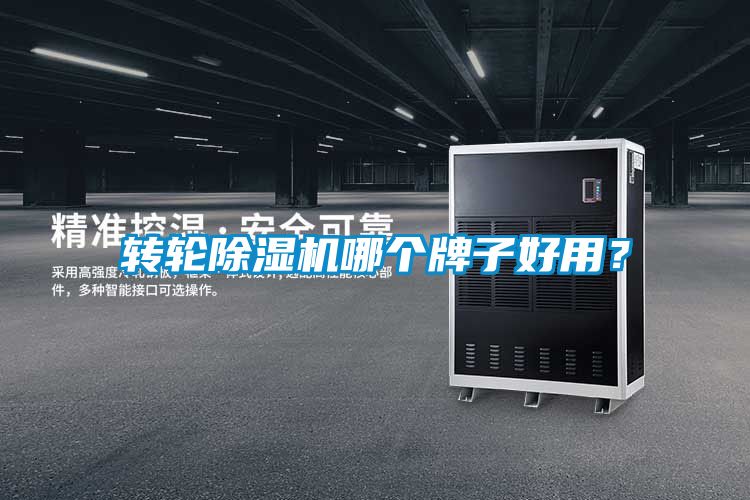 转轮粉色视频免费在线观看哪个牌子好用？