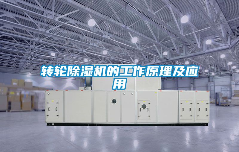 转轮粉色视频免费在线观看的工作原理及应用