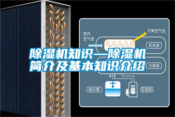 粉色视频免费在线观看知识—粉色视频免费在线观看简介及基本知识介绍