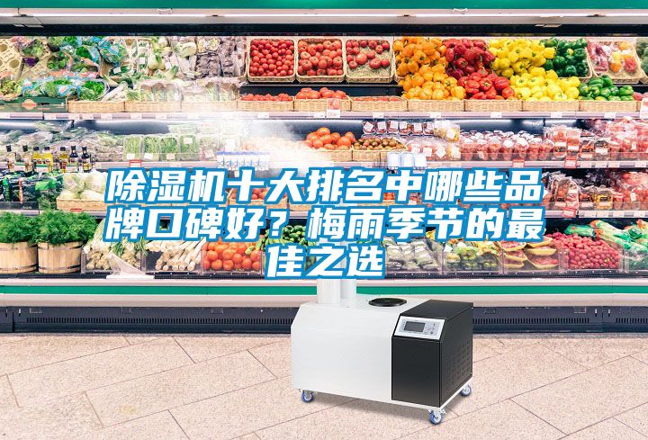 粉色视频免费在线观看十大排名中哪些品牌口碑好？梅雨季节的最佳之选