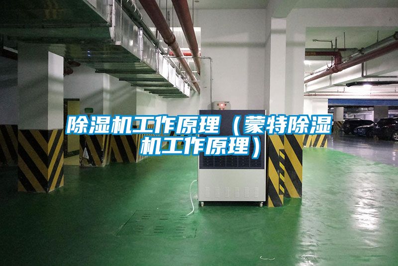 粉色视频免费在线观看工作原理（蒙特粉色视频免费在线观看工作原理）