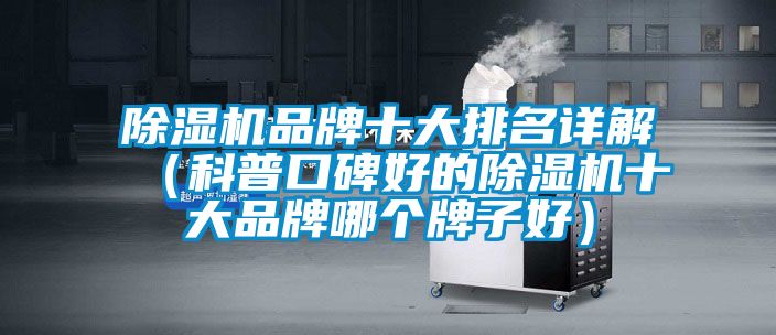 粉色视频免费在线观看品牌十大排名详解（科普口碑好的粉色视频免费在线观看十大品牌哪个牌子好）