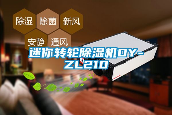 迷你转轮粉色视频免费在线观看DY-ZL210