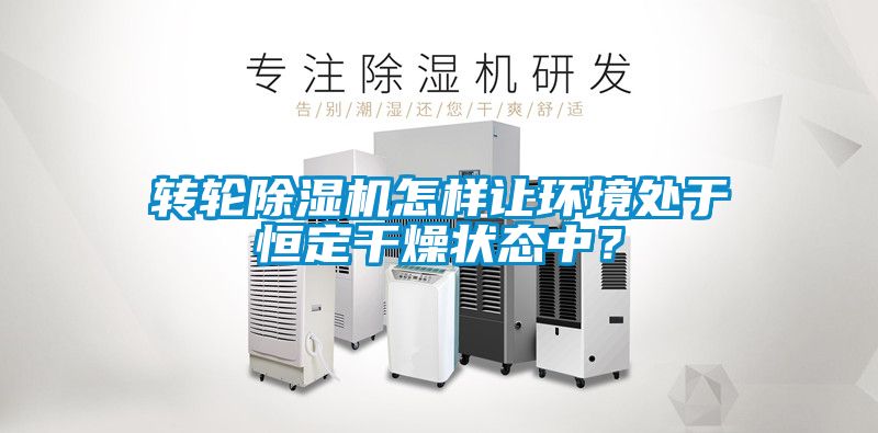 转轮粉色视频免费在线观看怎样让环境处于恒定干燥状态中？
