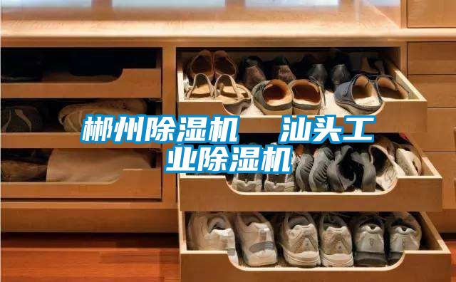 郴州粉色视频免费在线观看  汕头工业粉色视频免费在线观看