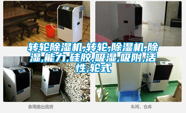 转轮粉色视频免费在线观看,转轮,粉色视频免费在线观看,除湿,能力,硅胶,吸湿,吸附,活性,轮式
