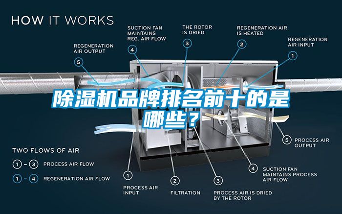 粉色视频免费在线观看品牌排名前十的是哪些？