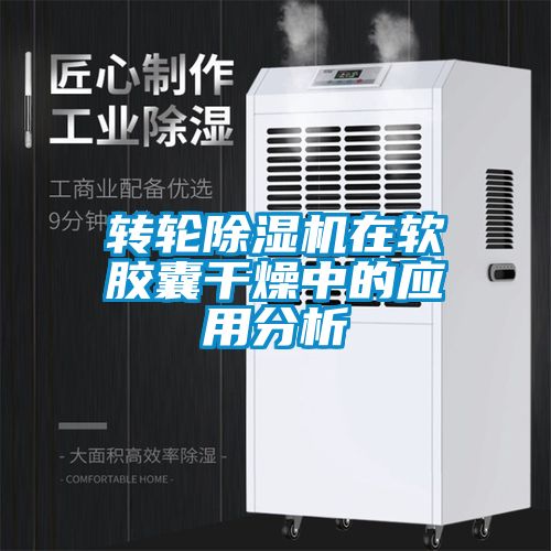 转轮粉色视频免费在线观看在软胶囊干燥中的应用分析