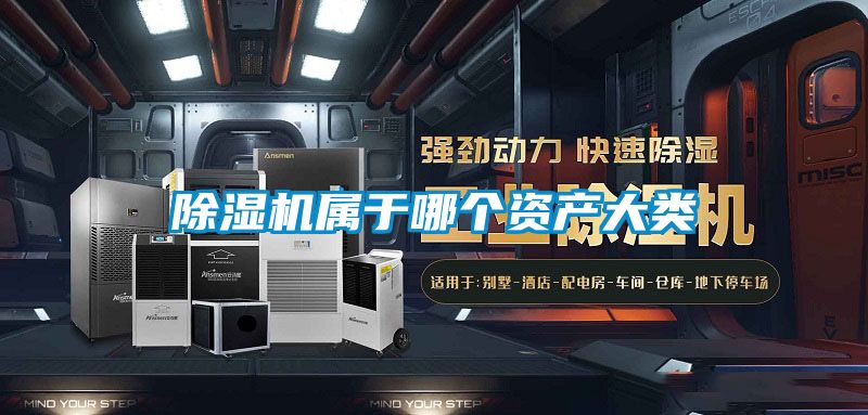 粉色视频免费在线观看属于哪个资产大类