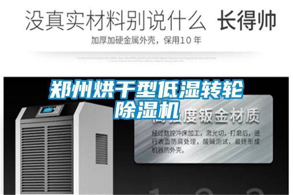 郑州烘干型低湿转轮粉色视频免费在线观看