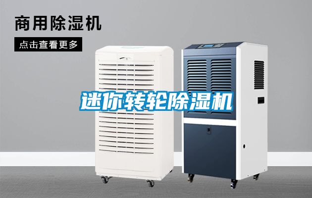 迷你转轮粉色视频免费在线观看