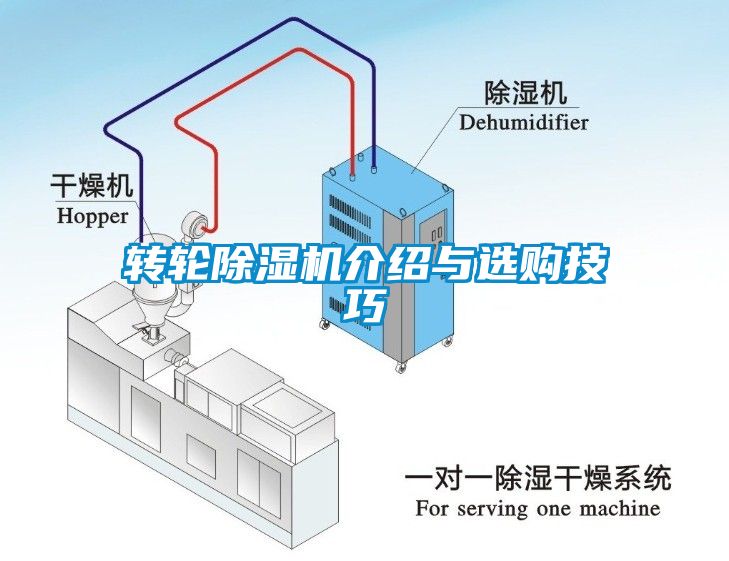 转轮粉色视频免费在线观看介绍与选购技巧