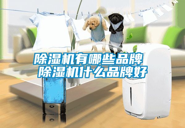 粉色视频免费在线观看有哪些品牌 粉色视频免费在线观看什么品牌好