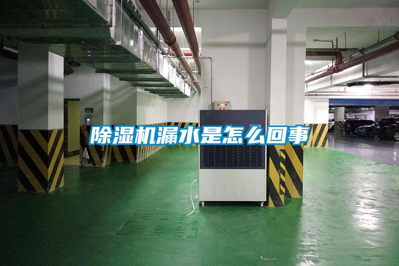 粉色视频免费在线观看漏水是怎么回事