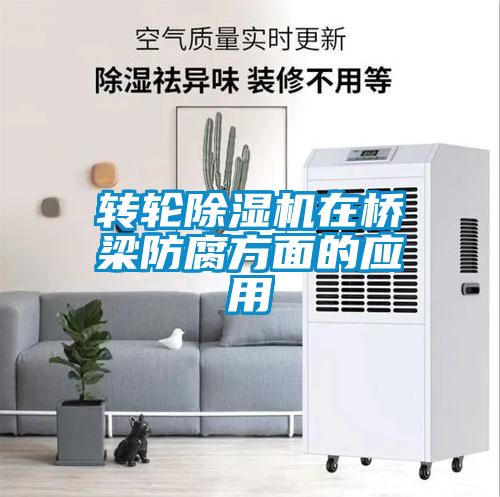 转轮粉色视频免费在线观看在桥梁防腐方面的应用