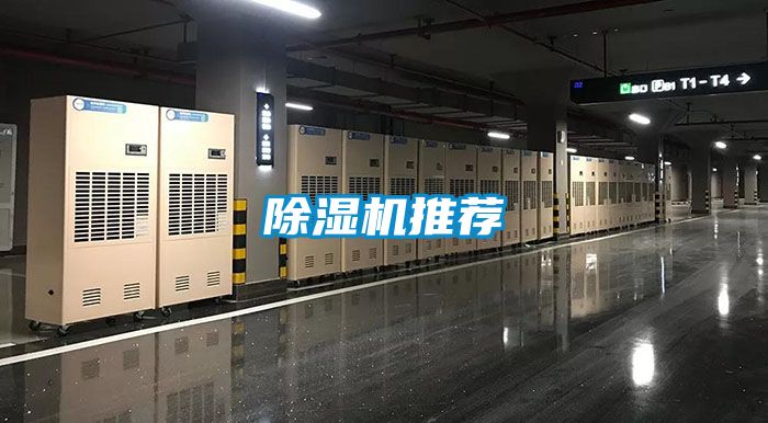 粉色视频免费在线观看推荐