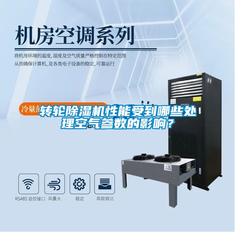转轮粉色视频免费在线观看性能受到哪些处理空气参数的影响？
