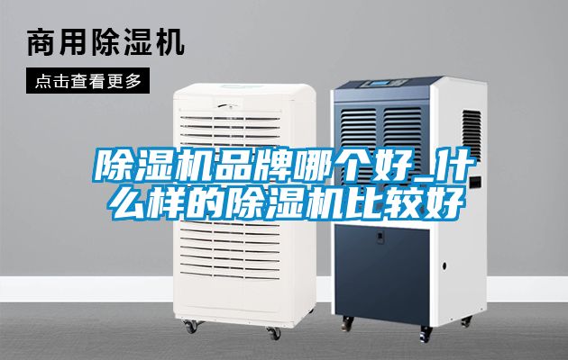 粉色视频免费在线观看品牌哪个好_什么样的粉色视频免费在线观看比较好