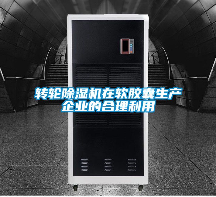 转轮粉色视频免费在线观看在软胶囊生产企业的合理利用