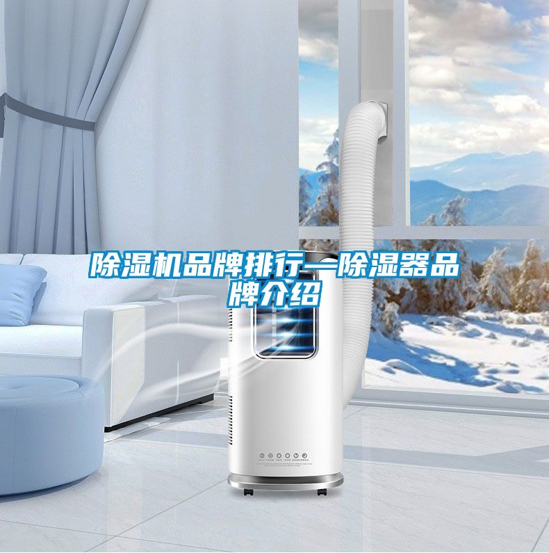 粉色视频免费在线观看品牌排行—除湿器品牌介绍
