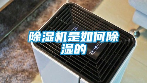 粉色视频免费在线观看是如何除湿的