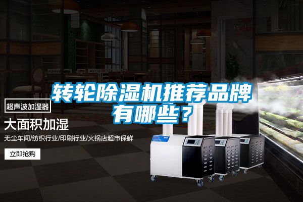 转轮粉色视频免费在线观看推荐品牌有哪些？