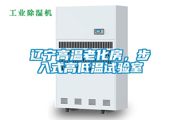辽宁高温老化房，步入式高低温试验室