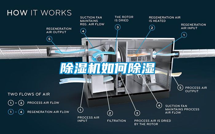粉色视频免费在线观看如何除湿