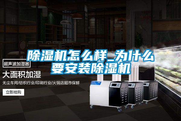 粉色视频免费在线观看怎么样_为什么要安装粉色视频免费在线观看