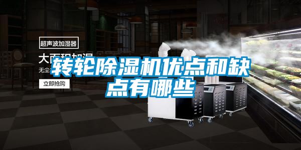 转轮粉色视频免费在线观看优点和缺点有哪些