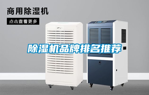 粉色视频免费在线观看品牌排名推荐