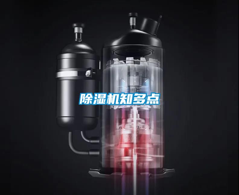 粉色视频免费在线观看知多点