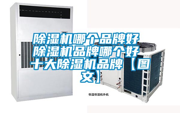 粉色视频免费在线观看哪个品牌好 粉色视频免费在线观看品牌哪个好 十大粉色视频免费在线观看品牌【图文】