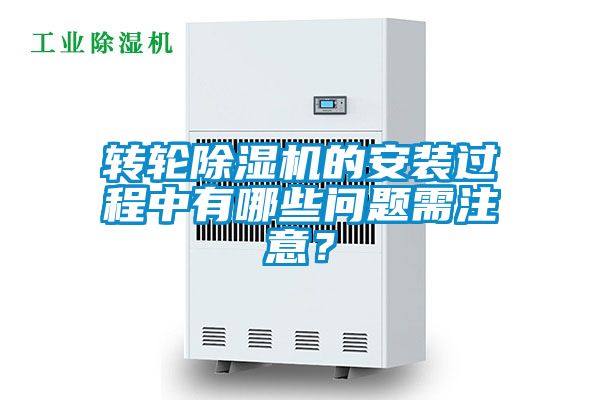 转轮粉色视频免费在线观看的安装过程中有哪些问题需注意？
