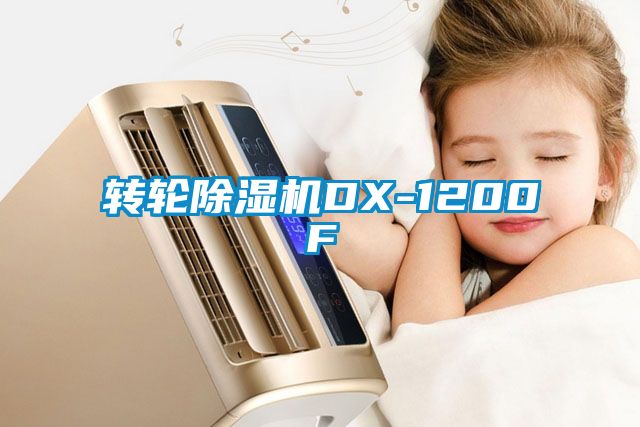 转轮粉色视频免费在线观看DX-1200F