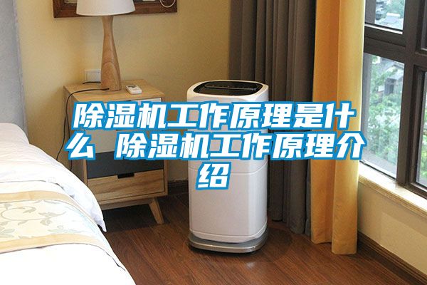 粉色视频免费在线观看工作原理是什么 粉色视频免费在线观看工作原理介绍