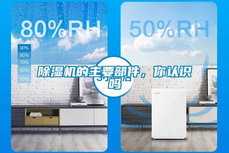 粉色视频免费在线观看的主要部件，你认识吗