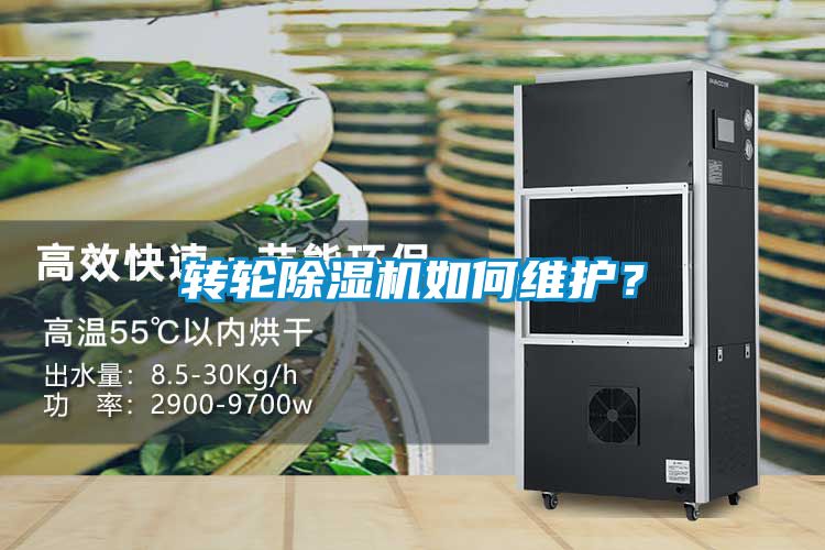 转轮粉色视频免费在线观看如何维护？