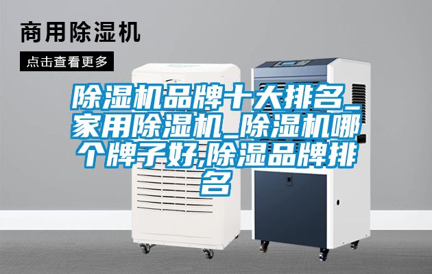 粉色视频免费在线观看品牌十大排名_家用粉色视频免费在线观看_粉色视频免费在线观看哪个牌子好,除湿品牌排名
