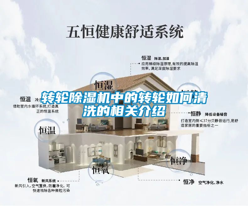 转轮粉色视频免费在线观看中的转轮如何清洗的相关介绍