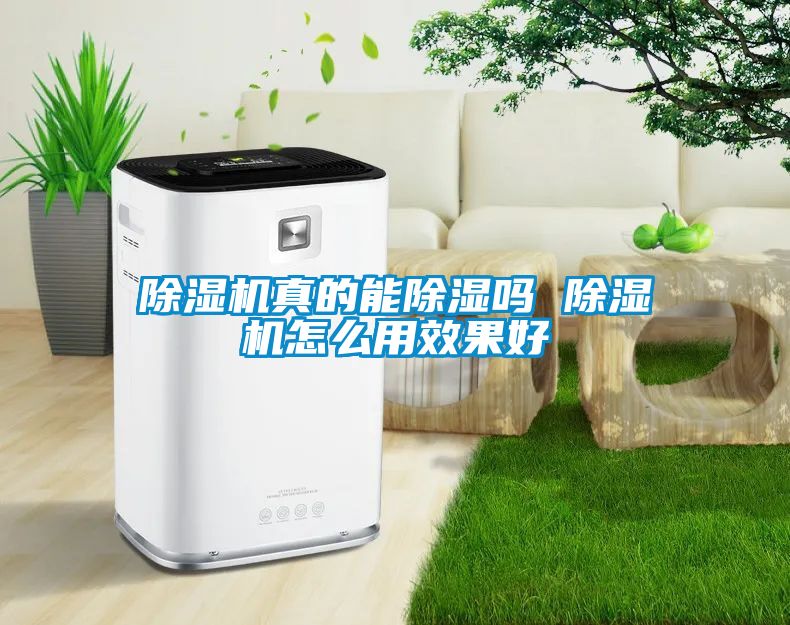 粉色视频免费在线观看真的能除湿吗 粉色视频免费在线观看怎么用效果好