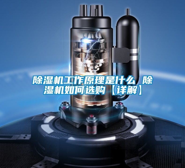 粉色视频免费在线观看工作原理是什么 粉色视频免费在线观看如何选购【详解】
