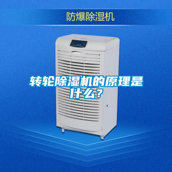 转轮粉色视频免费在线观看的原理是什么？