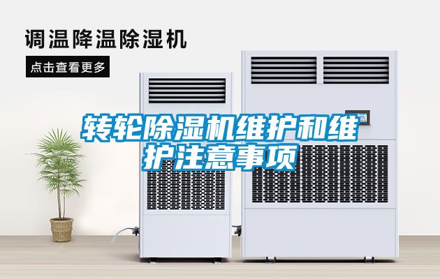 转轮粉色视频免费在线观看维护和维护注意事项