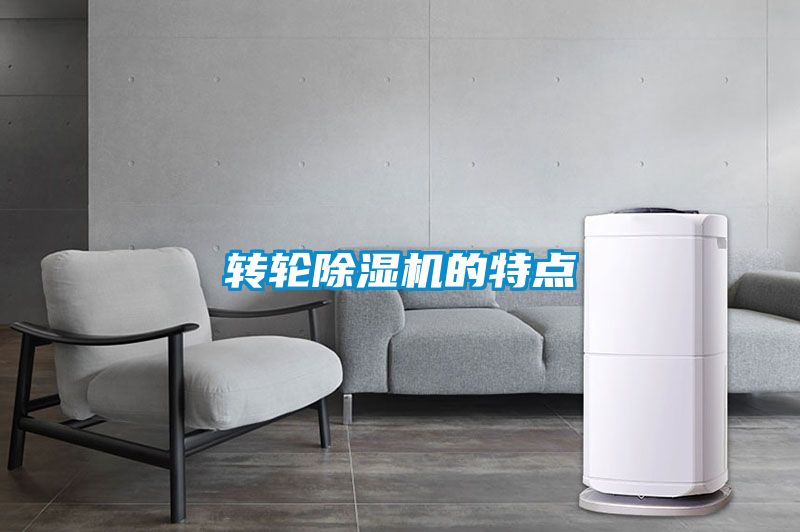 转轮粉色视频免费在线观看的特点