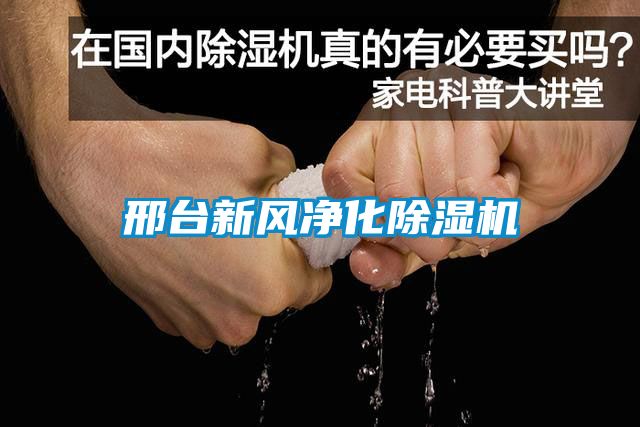 邢台新风净化粉色视频免费在线观看
